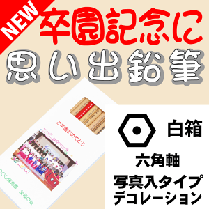 voM Zp yLOEƋLOɍœKz[ʐ^^Cv/fR[Vt] O  2B ꉔM2b ꂦ҂ ꉔM 12{ Zbg 1_[X ۂ ܂Ƃߔ 