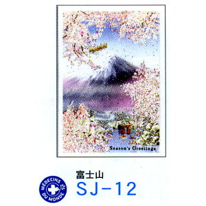 [NX}XIylR|X։zNEW@JCCALCȃNX}XJ[h@xmR@O[eBOCt@SJ-12