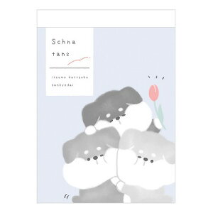 J~IWp ~j Vi 2 80 { q v[g  v`Mtg  20܂Ń[֑Ή  l킢