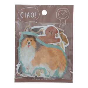 }ChEFCu `IXebJ[ Ck t[NV[ 40 IV v[g g fR[V