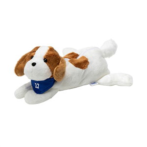 fRs y|[` ZLZC ʂ v[g  W[[O 킢 