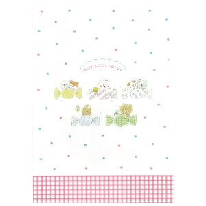 wXeCt HCCA4NAt@C LfB[ VO^Cv A4TCY  ސ