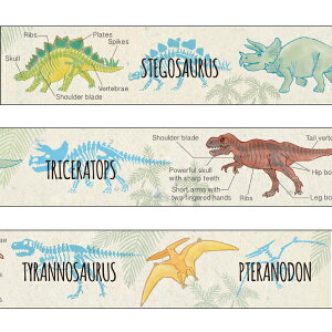GreenFlash }XLOe[v Ðw 15mm×10m 蒠m[gfR[V {