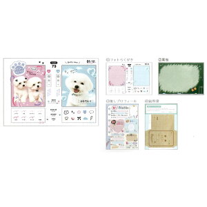 J~IWp pfB tHg炭 A6TCY y ObY ʔObY