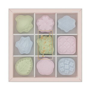 TX^[ X^vZbg aۂ 9Zbg ӂ fR[V aَq ݂₰ IV  ObY v[g