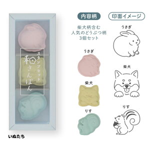 TX^[ X^vZbg aۂ 3Zbg ʂ fR[V aَq ݂₰ IV  ObY v[g