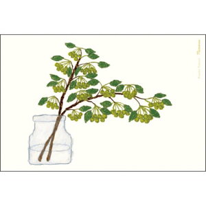 O[eBOCt Ē×S |XgJ[h qS IV bZ[WJ[h v[g