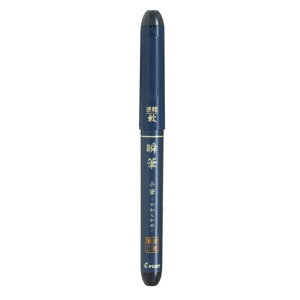 pCbg My uM M 炩 ubN P-SVS-30KS-B × 10{ My N n  痿CL   ̂ CXg Ȃ߂炩 ₷ J[  {iѕM 