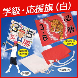 学級旗（大・白）《2.3x1.6m》 【旗のみ】 運動会 体育祭 小学校 中学校 高校 大学 サークル旗 幼児 応援 旗 団旗 【メール便不可】