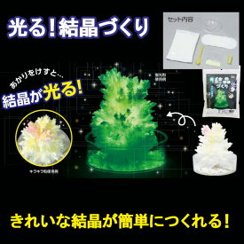 楽天市場 結晶作り実験キットの通販