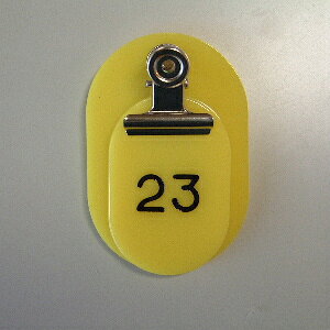 ԍD eqD 1`50ԁy[֕sz