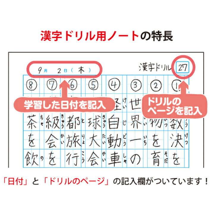 記念日 キョクトウ カレッジアニマル学習帳 ドリル用ノート 漢字 104字 Lp61 5冊セット 02 メール便対象 Materialworldblog Com