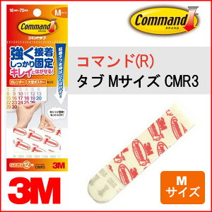 3M R}h(TM) ^u MTCYycmr3zy[։z [M 1/10]