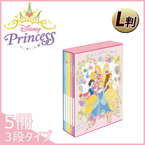yzfBYj[ vZX L 5BOX|PbgAo Mtg ʐ^ iJoV fBYj[ {bNXAo 3i^CvyA-PL-1031-4zy[֕sz
