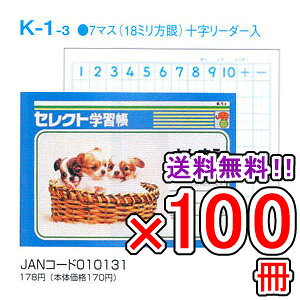 yz s100Zbgt m[g b5 R [ yK-1-3z ZNgwK Z(񂷂) 7}X \[_[ w wKx y[֕sz