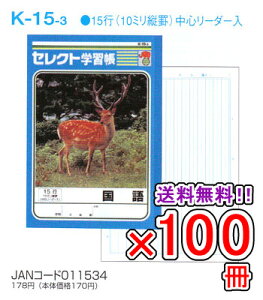 yz s100Zbgt m[g b5 R [ yK-15-3z ZNgwK () 15s S[_[ w wKx y[֕sz