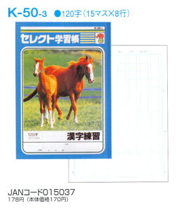 漢字 ノート 1字の人気商品 通販 価格比較 価格 Com
