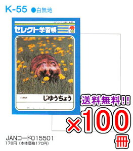 �y���������z �s100���Z�b�g�t �m�[�g b5 ���R�� ���� ���R�� ���[�� �w�K�� �yK-55�z �Z���N�g�w�K�� ���䂤���傤 �w������ �w�K�x�� �y���[���֕s�z