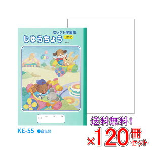 yz s120Zbgt m[g b5 R [ yKE-55z ZNgwK 䂤傤 w wKx y[֕sz
