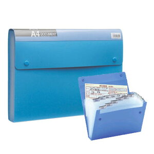 ドキュメントファイル(エコノミータイプ) ボックスケース A4タイプ【メール便不可】