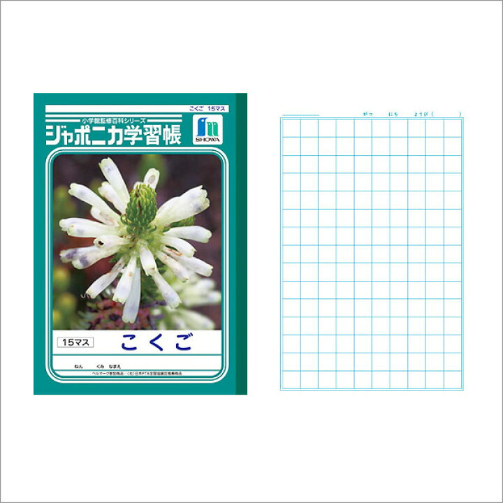 楽天市場 ノート B5 方眼 文房具 学習ノート ジャポニカ学習帳 こくご B5 15マス Jl 10 1 メール便可 M便 1 5 文具王のｏｓｋ