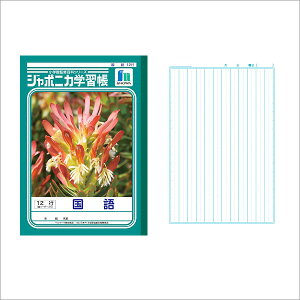 m[g b5  [ wKm[g W|jJwK  B5 12s c[_[ JL-11 w wKx y[։z [M 1/5]