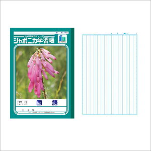 m[g b5  [ wKm[g W|jJwK  B5 15s c[_[ JL-13 w wKx y[։z [M 1/5]