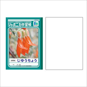 m[g b5 [ wKm[g W|jJwK 䂤傤 B5 n JL-72 w wKx y[։z [M 1/5]