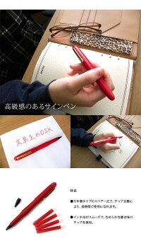 【メール便対応】ソフトペン採点ペン万年筆スペアー式高級サインペン