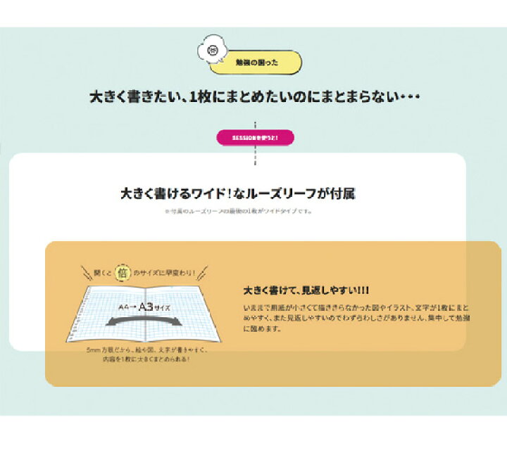 楽天市場 バインダー セッション バインダー ルーズリーフ 大きい アレンジ インデックス プリント レジュメ 収納 ポケット 勉強 試験勉強 プラスチック かわいい 可愛い おしゃれ 1冊 まとまる まとめる マルマン Maruman メール便可 M便 1 2 文具王のｏｓｋ