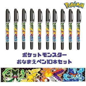 y10_ZbgzOy |PbgX^[ 190729001 Ȃ܂y Ȃ܂y y  VEm[g |P sJ`E l[y w TCy  cC^Cv ׎ 