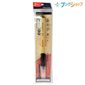 | N^P My My   ܎̖ѕMC[W Ɏ₷o[Obv XT3-10S