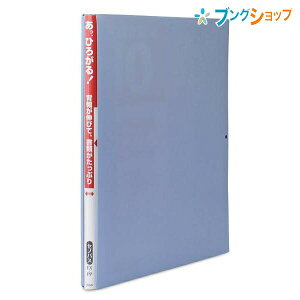 vX tbgt@C wLkFZmoXEX]PP BL 89-098 Ղ炷 PLUS wLkZmoXV[Y Ƃő10 ^b`ꎮƂ J^O̐ɕ֗ PP^Cv Jh