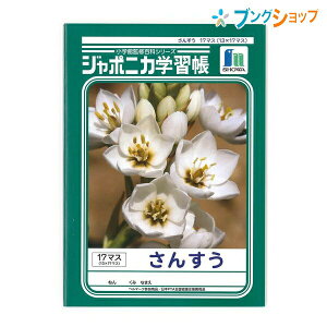 VEm[g wK W|jJ 񂷂 B5 17}X 12mm JL-2-2