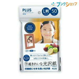 vX CNWFbgv^[pp L 50 Fx 99 x 80 x[X^Cv Жʈ IT-050L-GC 89×127mm 46-082 ꂢȌ ʐ^vgɓKdオ N