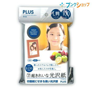 vX CNWFbgv^[pp L 100 Fx 99 x 80 x[X^Cv Жʈ IT-100L-GC 89×127mm 46-083 ꂢȌ ʐ^vgɓKdオ N