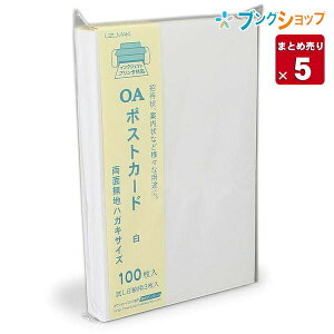 H |XgJ[h 100 n-054 CNWFbg |XgJ[h ͂ nKL y5Zbgz