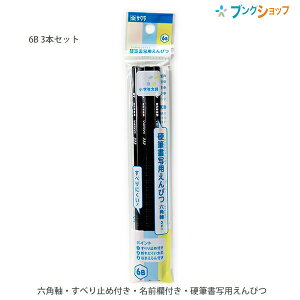 TNNpX dʗp҂ 6B Zp c 3{ Ȃ܂ w G6Gsc6B-3P