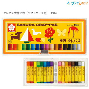 TNNpX NpX16F\tgP[X LP16S ^ѕ֗ pX pXe ς NpX 炭ς NpX \tgP[X ʓh`R F dF