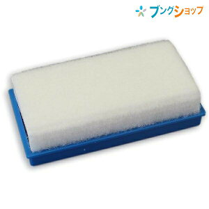 yX[p[SALEizTNNpX zCg{[hp C[U[M 182082