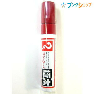 寺西化学工業 油性マーカー マジック極太 赤 MGD-T2