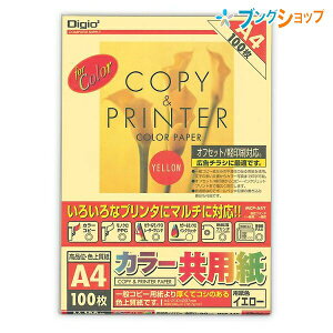 iJoV Rs[p J[p/A4/100/CG[ ItZbg MCP-A4-Y yΉ }`ɑΉ p ǂ̖ʂ󎚉\ {[y M  \