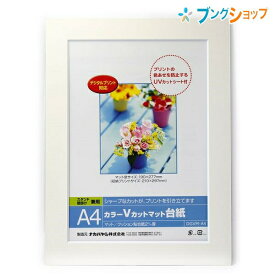 ナカバヤシ 額 スタンド壁掛け兼用 Vカットマット台紙A4 ホワイト DGVM-A4-W 額 アルバム フォトフレーム 装飾 記念 飾り 色褪せ防止 シャープなカット インクジェット出力対応 スタンド壁掛け兼用 写真