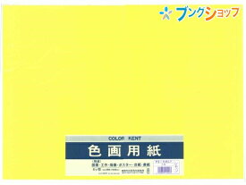 【スーパーSALE価格】マルアイ 色画用紙 四ッ切 (390mm×540mm) 5枚入り いろがようし 工作 レモン 工作紙 図面 工作 版画 ポスター 台紙 表紙 アート用品 画材用紙 ポスター パンフレット イラスト