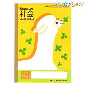 AsJ wK ȖږXN[C Љ 5~r SLS10SS APICA {m[g jb|m[g wpi  k wZ wK  wZ w  ML i eȂ킩₷F