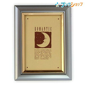 iJoV tHgt[ A~ʐ^EL89x128 AP-18-EL