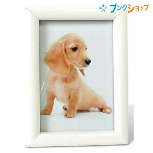 iJoV tHgt[ ʐ^~m zCgL MS01LWH