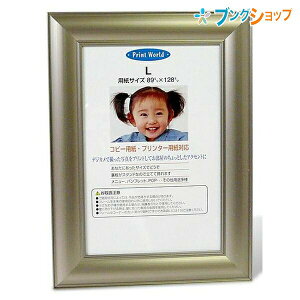 iJoV ʐ^z vplCgt[ O[ PA-212-L