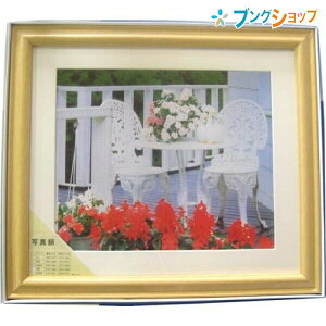 iJoV ʐ^z ؐʐ^z MP-95 lb