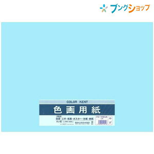 マルアイ 色画用紙 四ッ切 (390mm×540mm) 5枚入り いろがようし 工作 水色 工作紙 図面 工作 版画 ポスター 台紙 表紙 アート用品 画材用紙 ポスター パンフレット イラスト